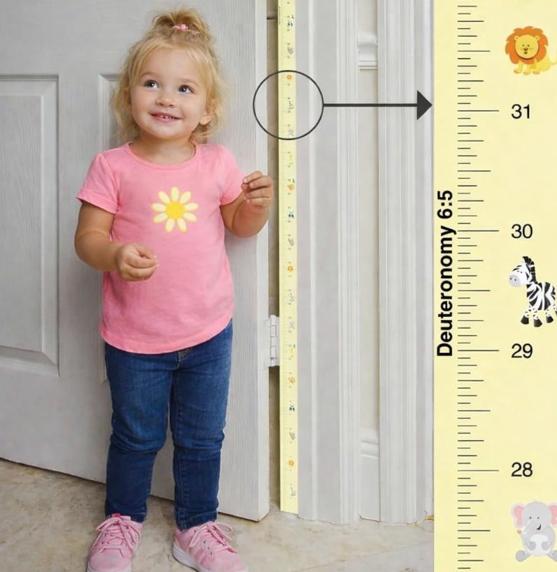 Doorframe Growth Chart – Animal Kingdom